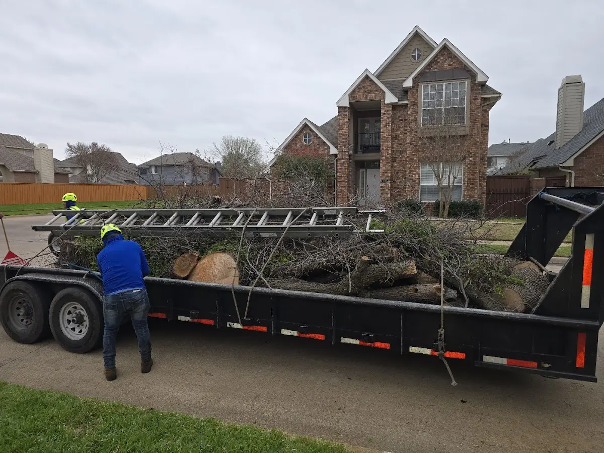 Expert Tree Removal with proper safety equipment in Bauxite